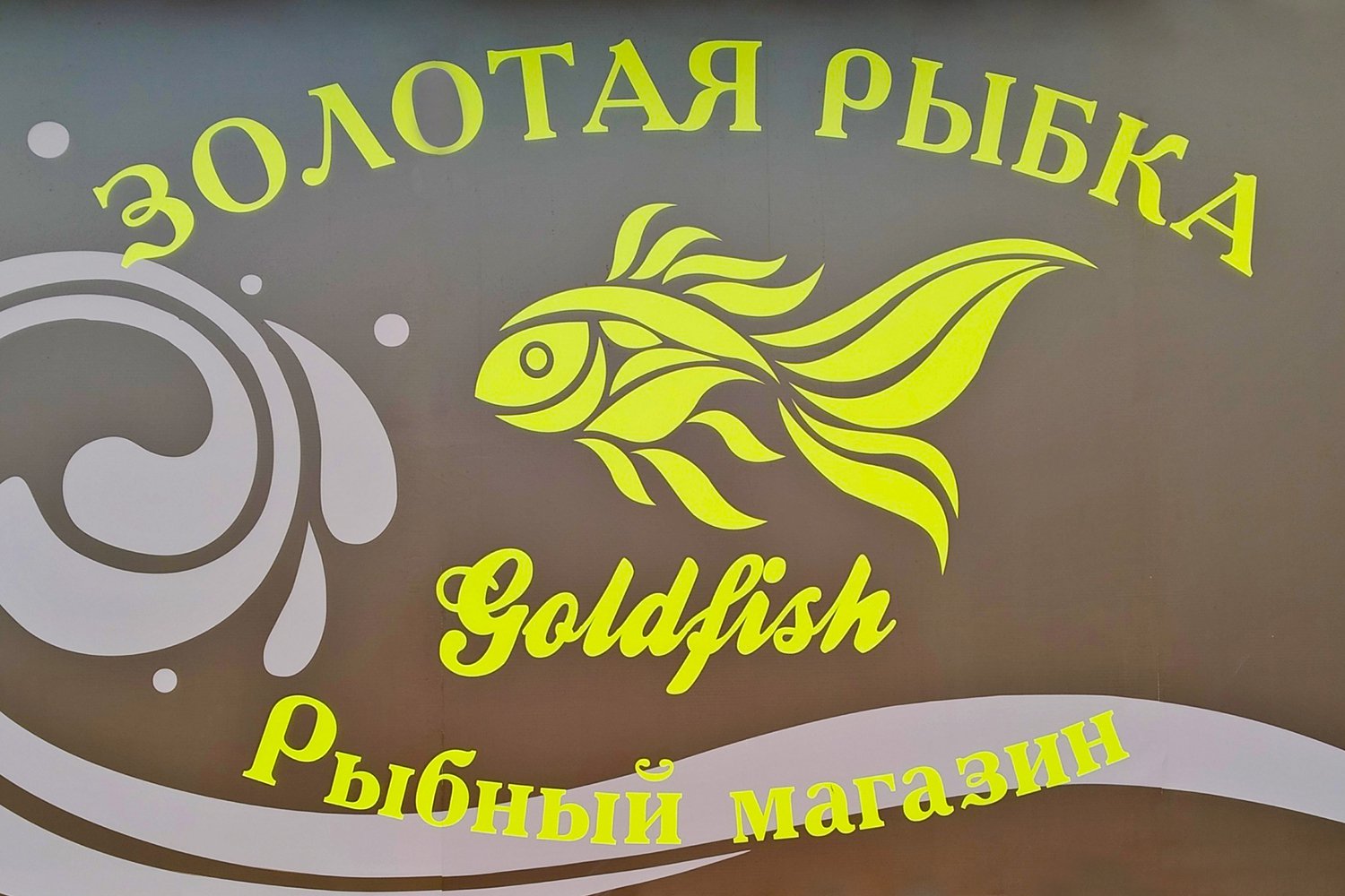 золотая рыбка ресторан