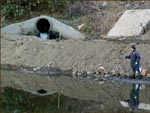 «Лазурный» осуществлял сбросы сточных вод в реку Ока