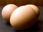 Яйца Выксунской птицефабрики признаны одними из лучших