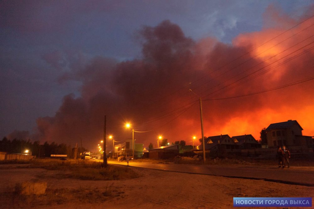 Лесной пожар уничтожил более половины деревни Тамболес