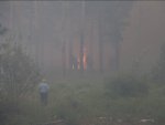 Площадь активного горения лесного пожара в Выксунском районе составляет 820 га.