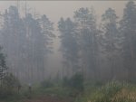 За минувшие сутки площадь пожара в Выксунском районе увеличилась на 80 га за счет отжига