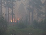 В Выксе работают телефоны «горячей линии» для сообщения о ситуации с лесными пожарами