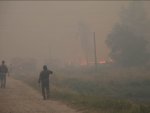 Данные о лесных пожарах на 4 августа