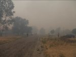 Площадь лесных пожаров в Нижегородской области составляет 25 тысяч га