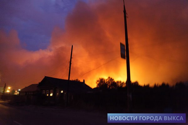 В Выксе нашли виновника лесных пожаров 2010 года
