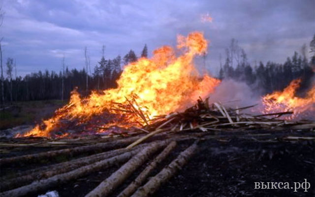 В лесничестве Выксунского района потушен крупный пожар