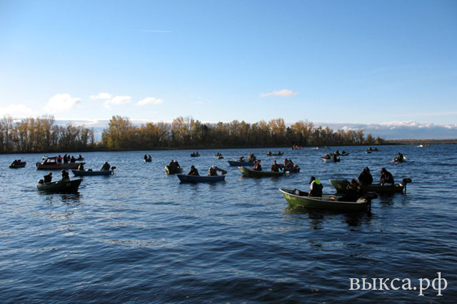 Чемпионат по ловле рыбы спиннингом с лодок пройдет в Выксе