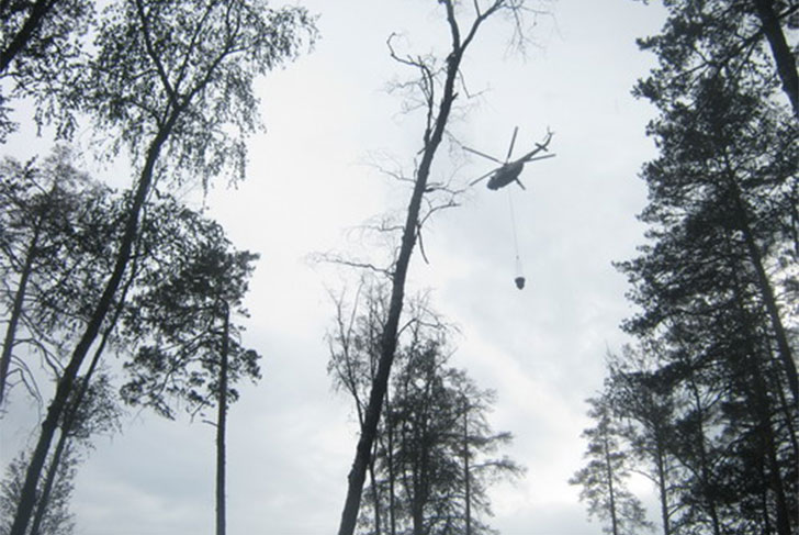 В Выксунском районе бушует лесной пожар, эвакуировали «Звездный»