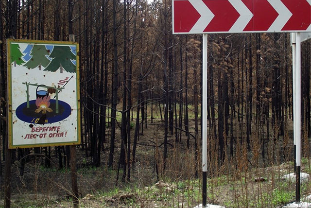 В Выксе сняли запрет на посещение лесов