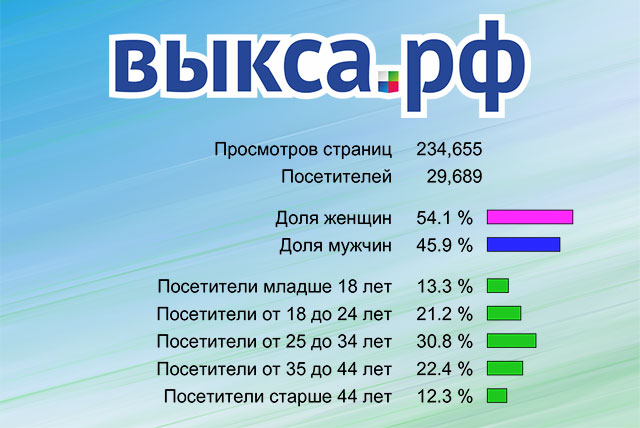 38,5 тысяч человек посетили группу сайтов выкса.рф в сентябре 2013 года