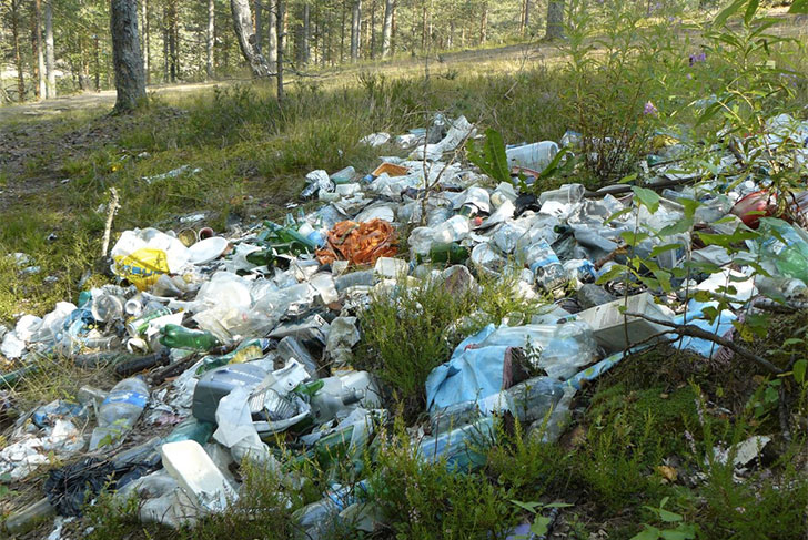 Суд обязал администрацию Выксы очистить территорию округа от несанкционированной свалки бытовых отходов