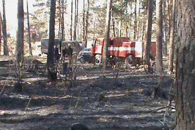 В Выксе произошел первый лесной пожар