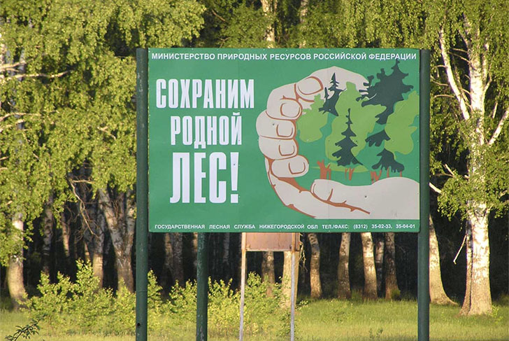 Экстренное предупреждение из-за высокой пожароопасности лесов объявлено в Выксе