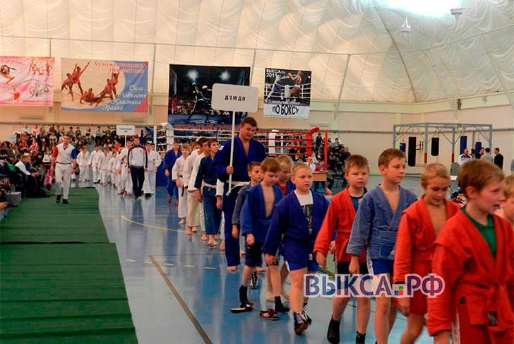 Фестиваль спортивных единоборств прошел в Выксе
