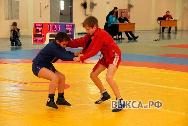 Всероссийский турнир по самбо