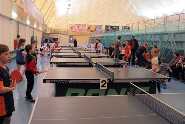 Соревнования по настольному теннису прошли в Выксе