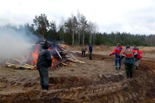 Учения по ликвидации лесного пожара прошли в районе поселка Виля
