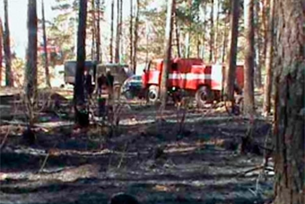 Лесной пожар произошел в Ризадеевском лесничестве