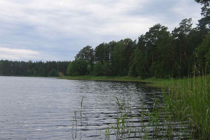 В озере Свято обнаружен труп утонувшего мужчины