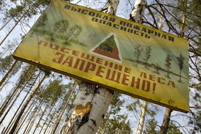 Посещение лесов в Выксе запрещено