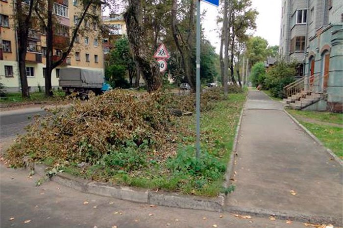 Около 500 тыс. рублей планируется направить на расчистку территории города