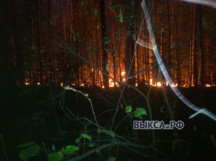 Лес вблизи села Новодмитриевка охвачен пожаром