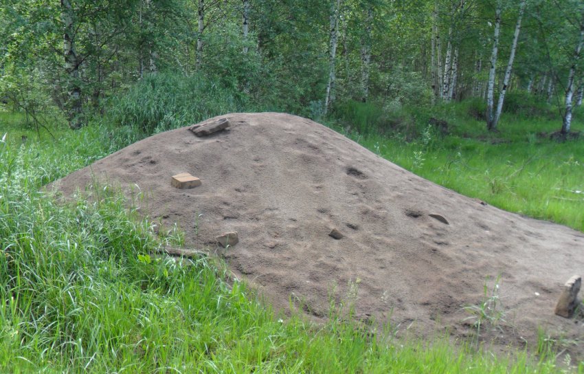 Свалка промышленных отходов обнаружена между Борковкой и Грязной