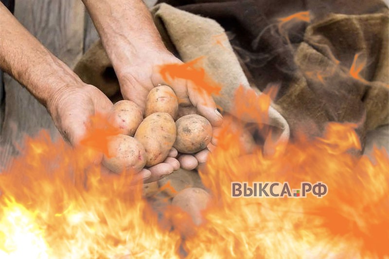 В пожаре виновата картошка