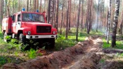 Лесной пожар потушили в Выксе