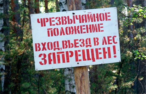Введен запрет на посещение лесов