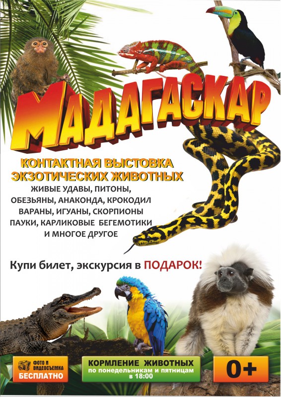 Выставка экзотических животных «Мадагаскар»