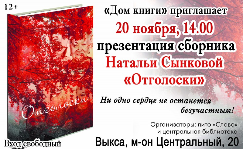 Презентация книги Натальи Сынковой