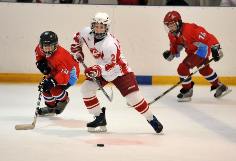 Хоккейная команда «Лидер» стала второй на турнире в Павлово