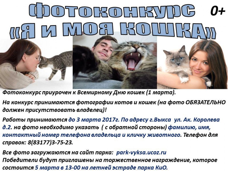 Фотоконкурс ко Всемирному Дню кошек