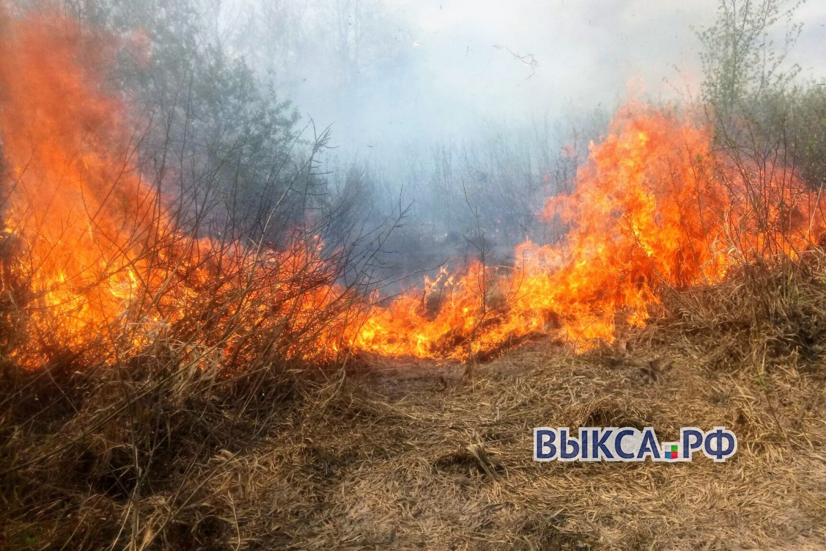 Лесной пожар бушует около поселка Стрелка