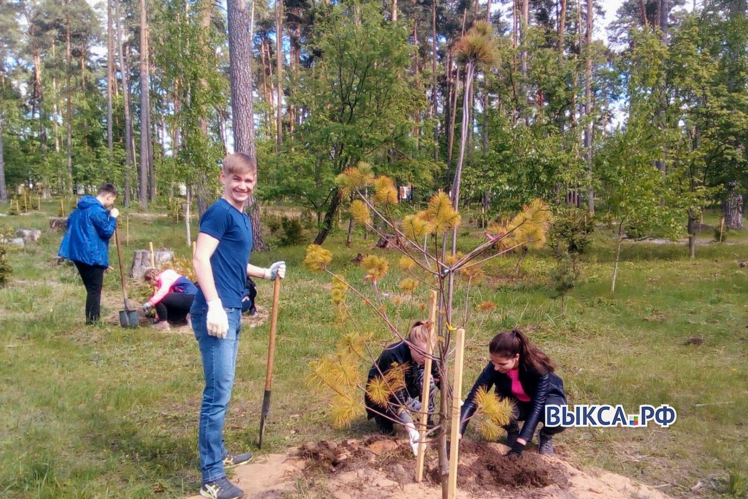 Ученики школы №9 посадили деревья в парке