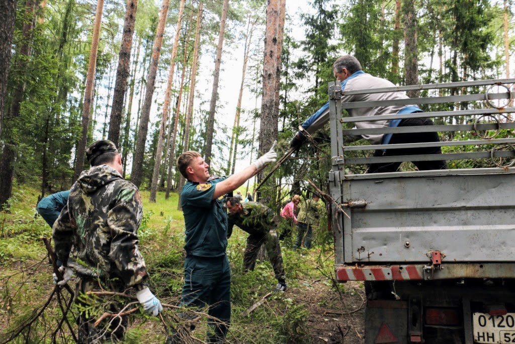 В микрорайоне Жуковского провели санитарную очистку леса