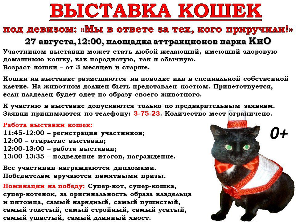 Выставка кошек