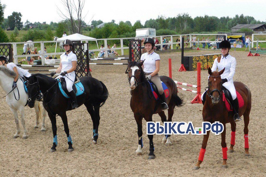 В Берендеево прошел турнир по конному спорту