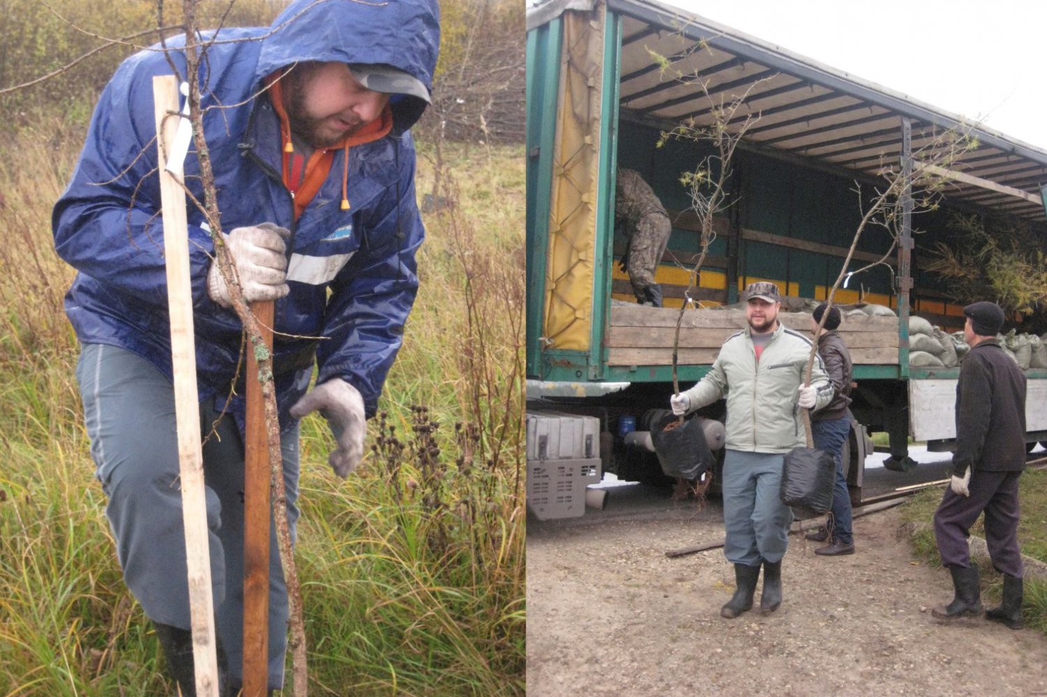 В Мотмосе высадили 620 деревьев