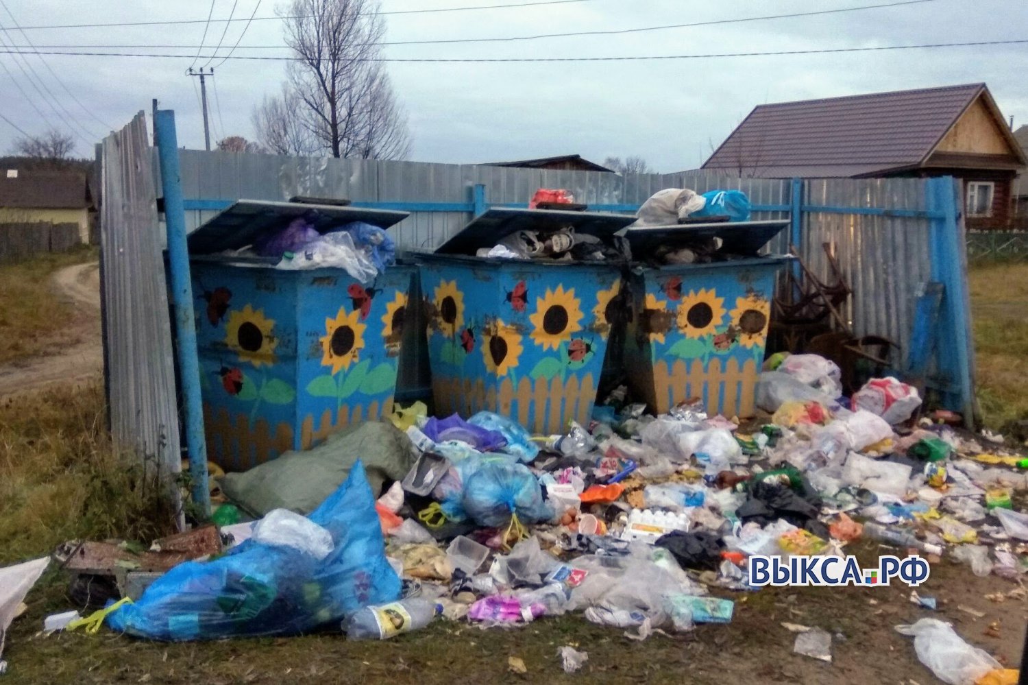 Кто отвечает за вывоз мусора на улице Островского в Виле?