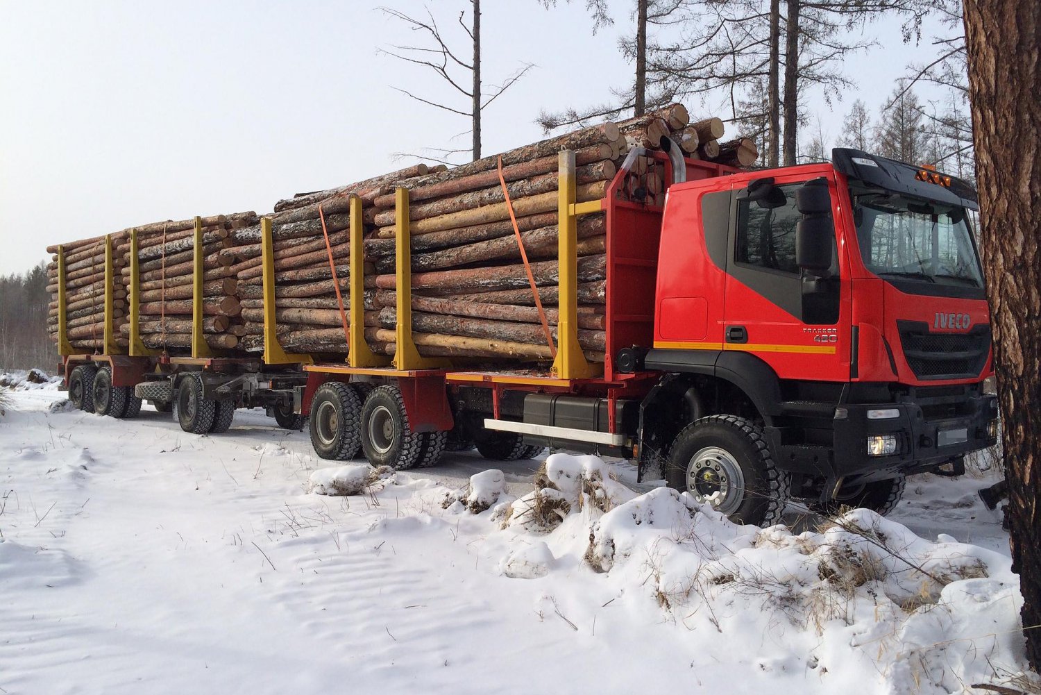 Лесовоз пытался незаконно вывезти древесину из Выксы