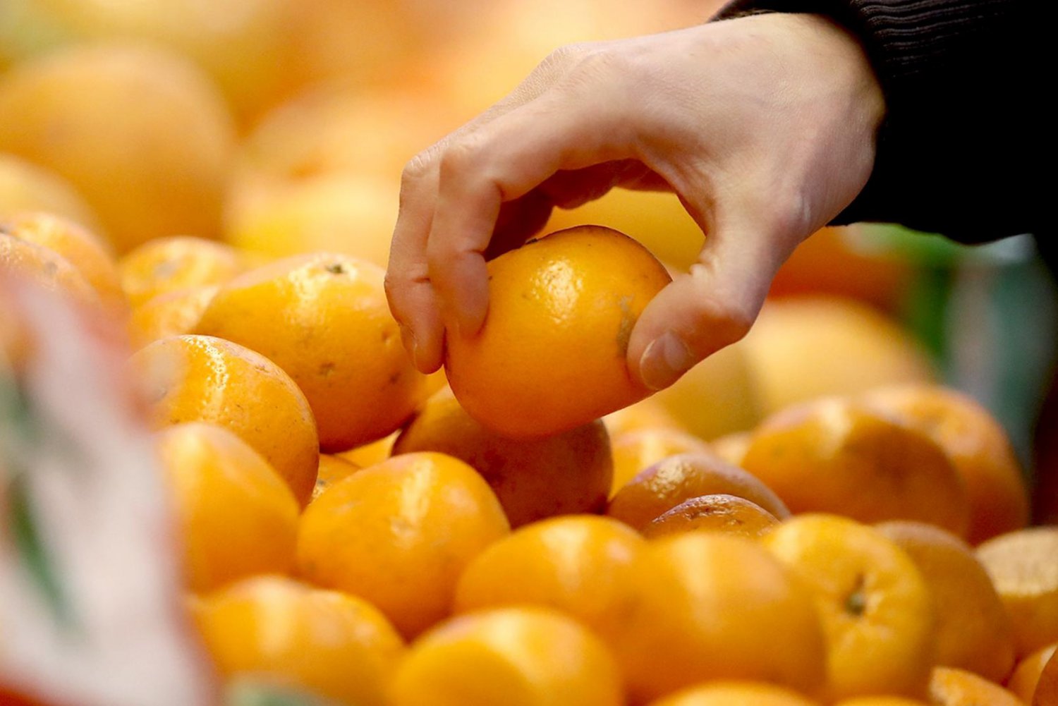 Роспотребнадзор снял с продажи 1,3 тонны фруктов и овощей