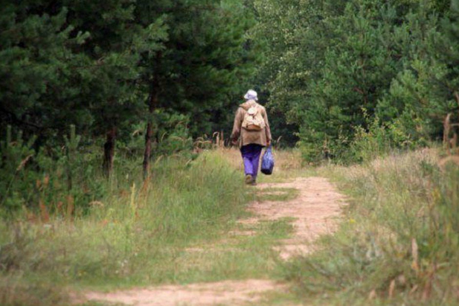 69-летняя женщина заблудилась в лесу у Полдеревки