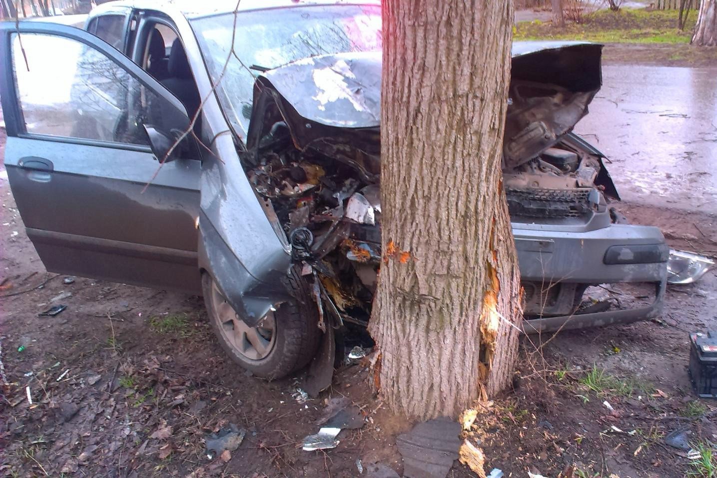 Пьяный выксунец протаранил дерево на Досчатинском шоссе
