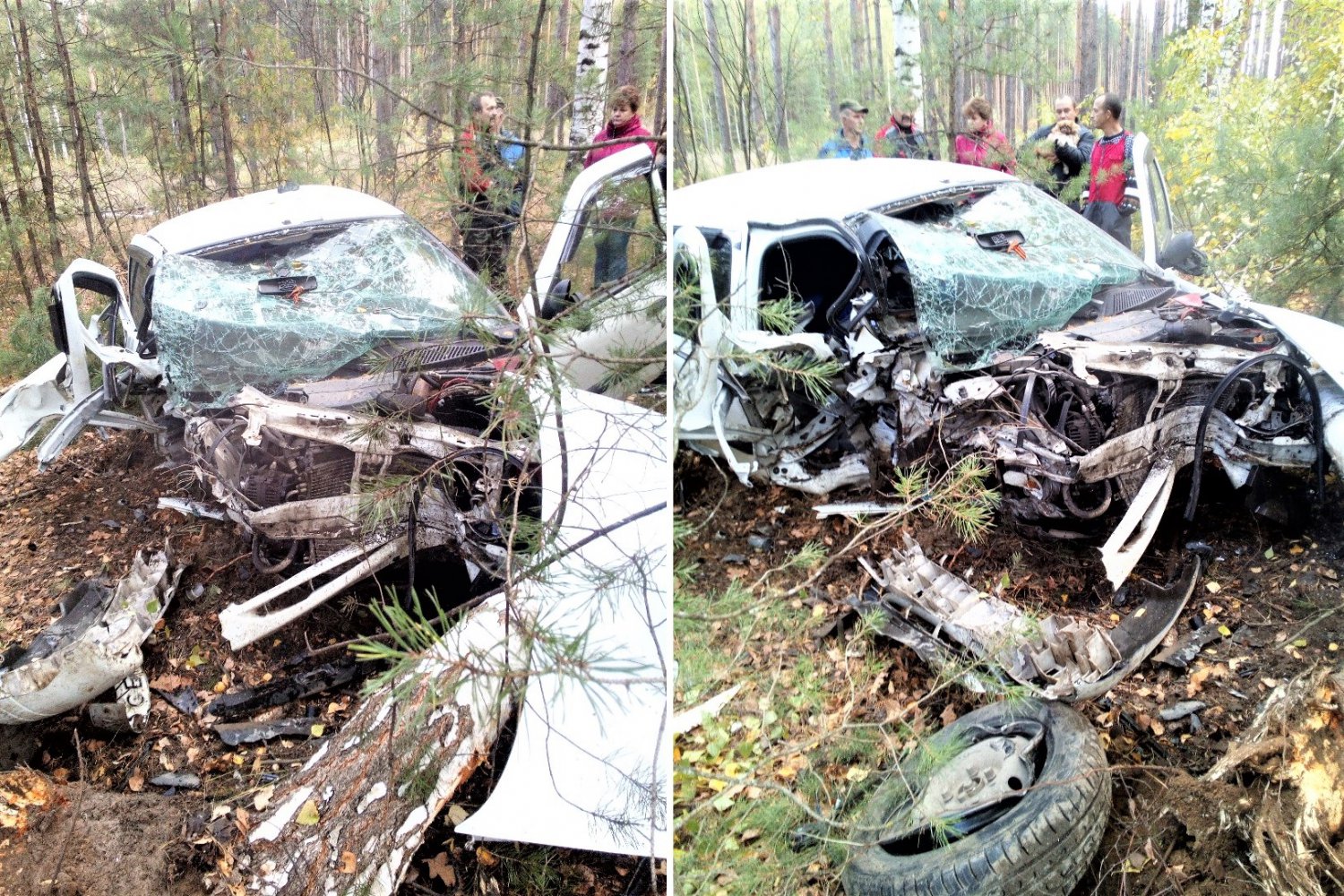 Водитель Renault вылетел в кювет и врезался в дерево