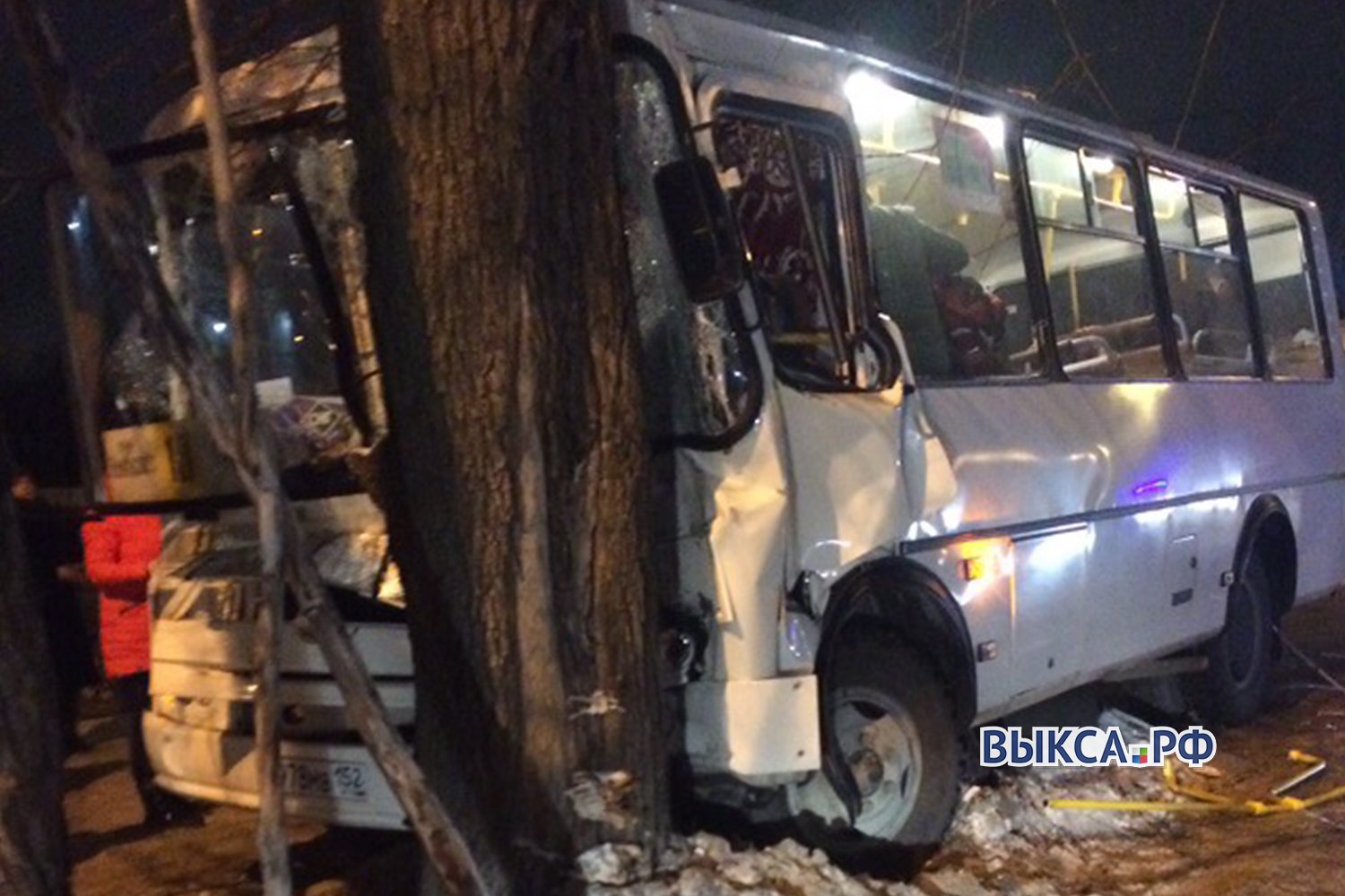 Автобус с пассажирами врезался в дерево
