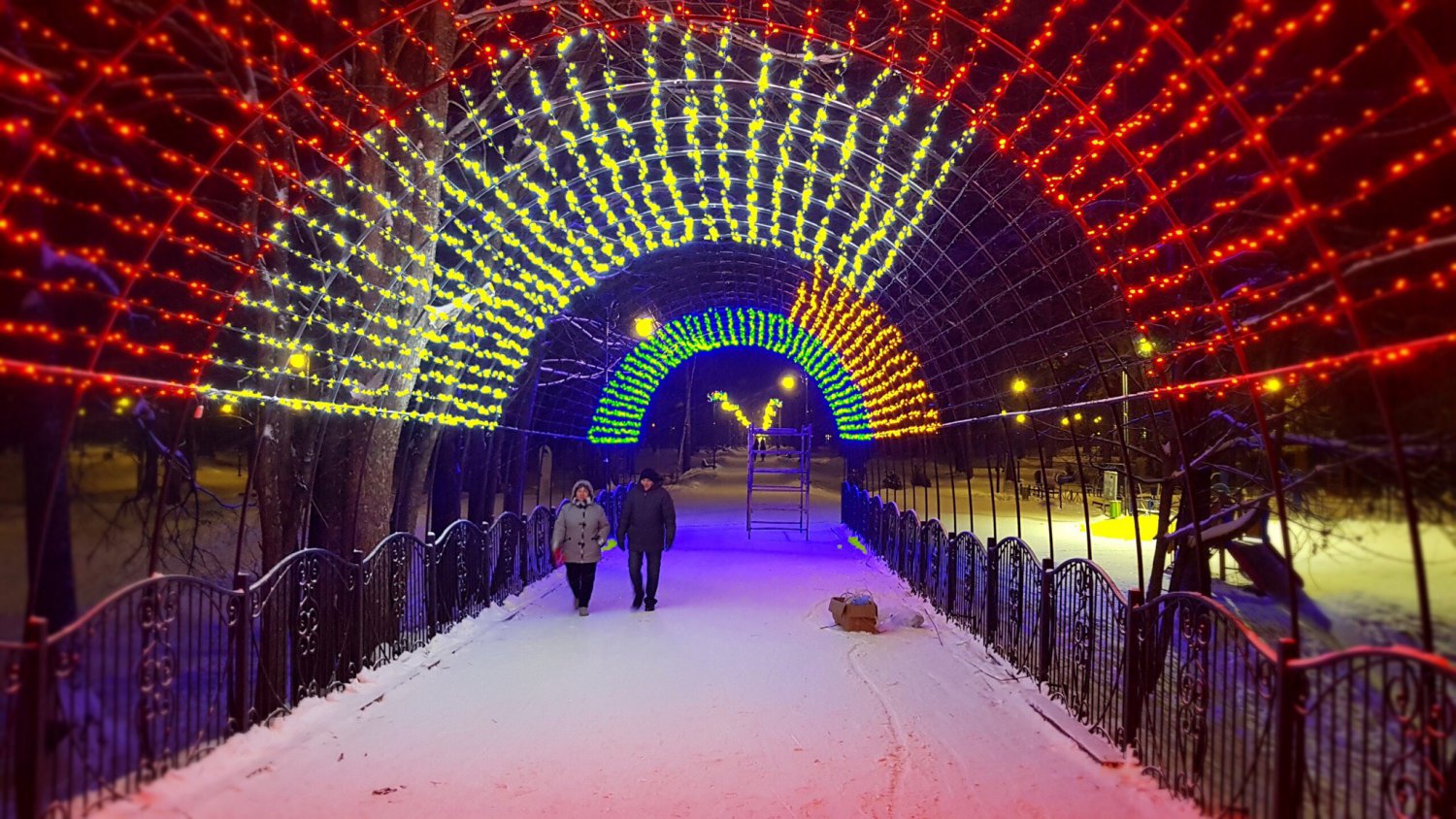 Новогодний тоннель в парке