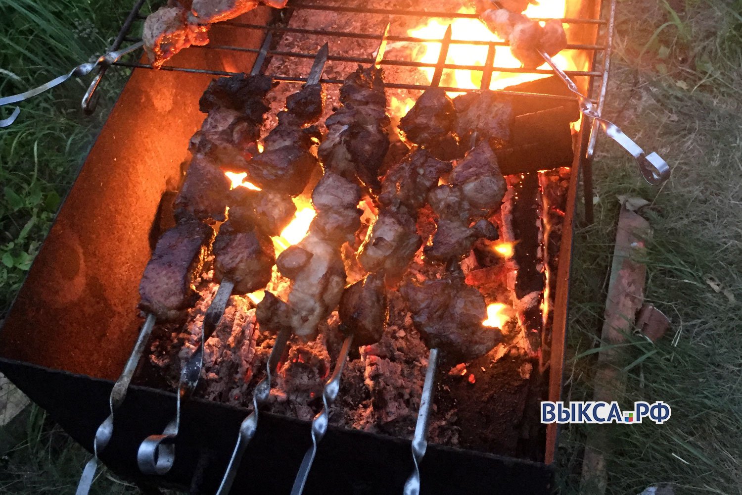 Шашлыки не пожаришь